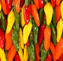 Hot Peppers